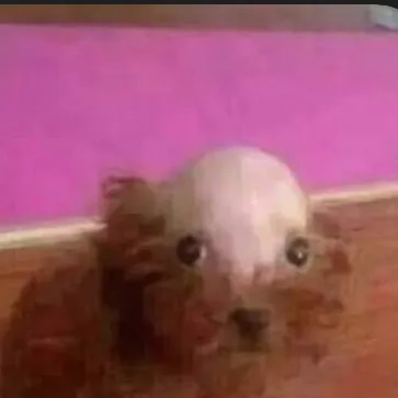 chat with ai character: cualquier cosa x