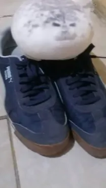 ai character: fnaf background