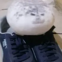 chat with ai character: fnaf