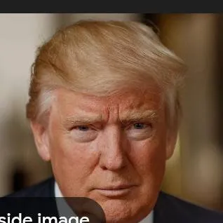 chat with ai character: Donald Trump 