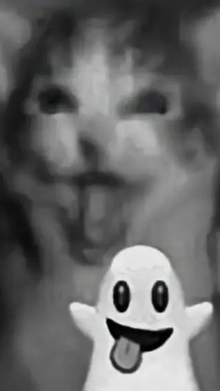 ai character: Gato bu! background