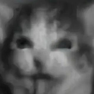 chat with ai character: Gato bu!