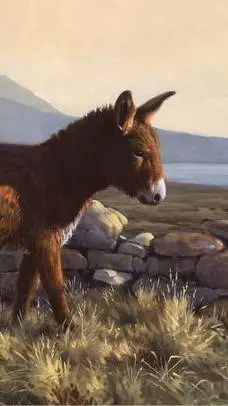 ai character: Donkey background