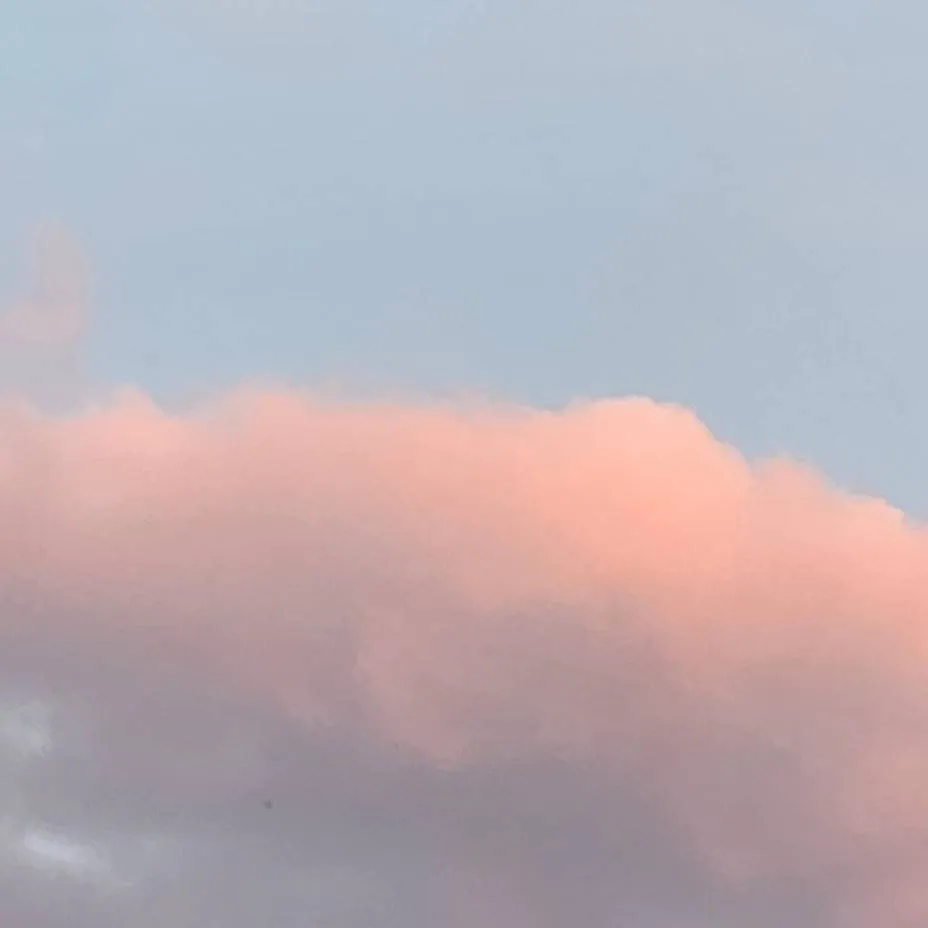 chat with ai character: Maachi barton :(