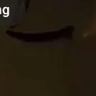 chat with ai character: double fedora