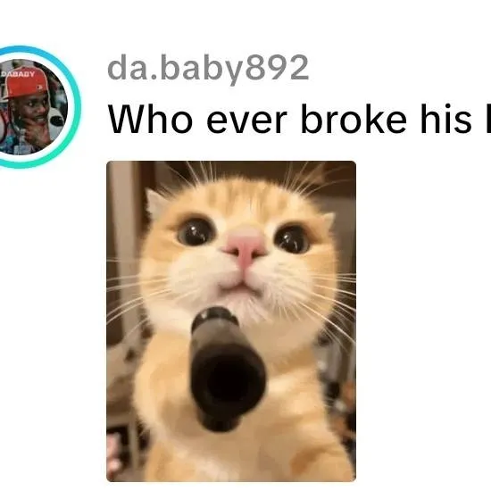 chat with ai character: Whoever broke his 