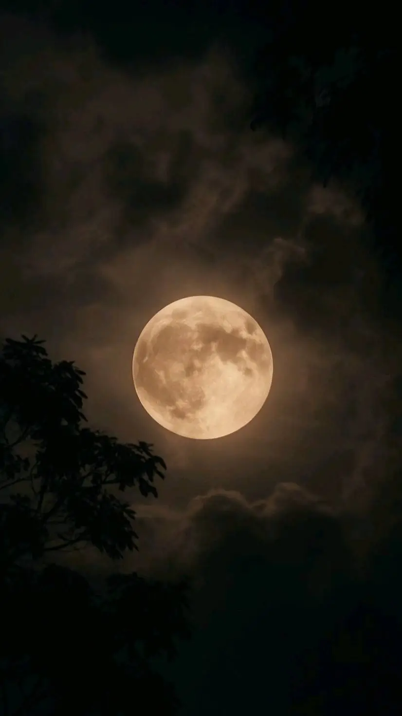 ai character: SKZ Night House  background