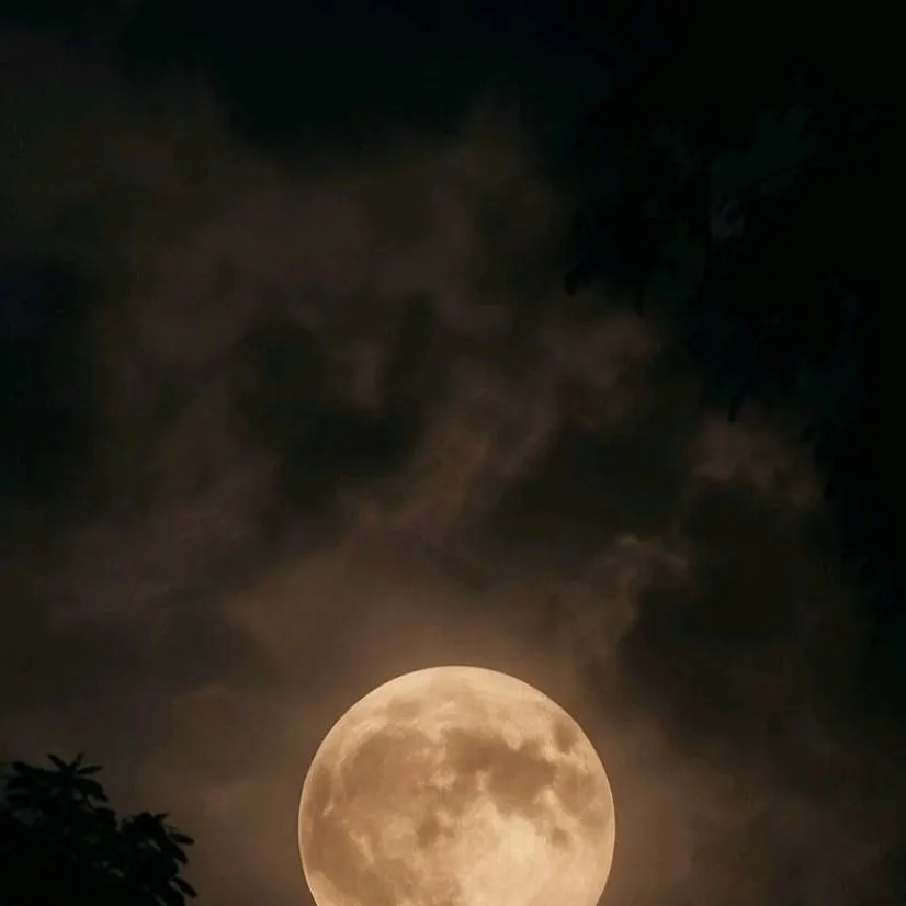 chat with ai character: SKZ Night House 