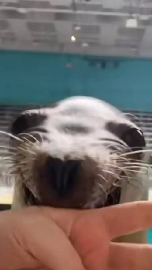 ai character: mha x loz background