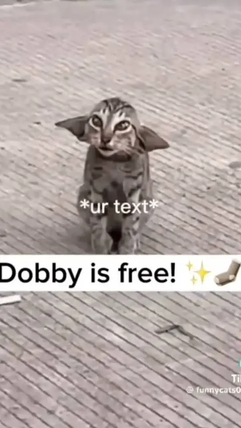 ai character: you start background