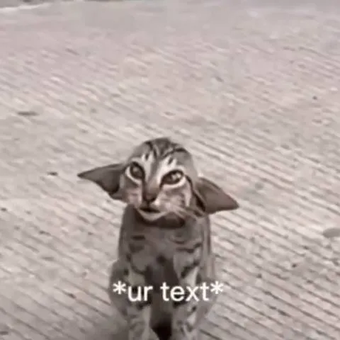 chat with ai character: you start