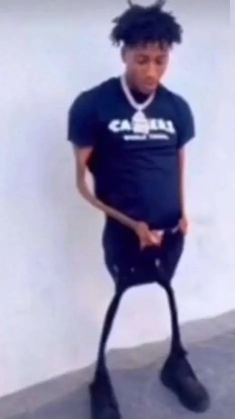 ai character: Larry Michi background