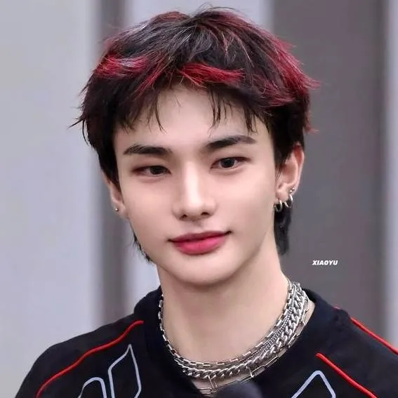 chat with ai character:  🛸HWANG HYUNJIN🛸