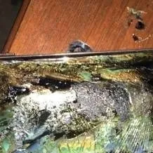 chat with ai character: note 7 (FIXED)