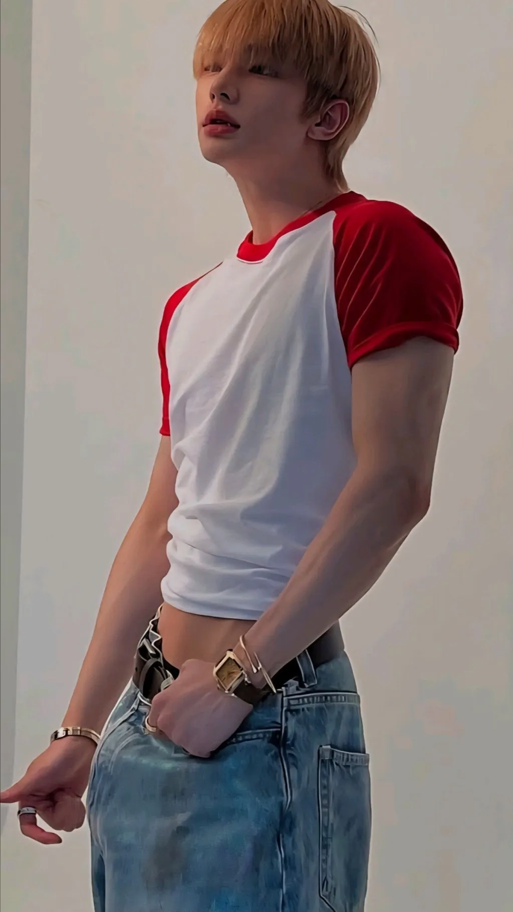 ai character: Hyunjin background