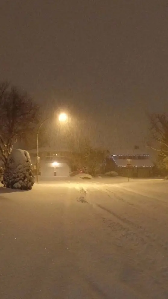 ai character:  The Man  background