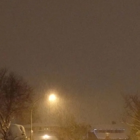 chat with ai character:  The Man 