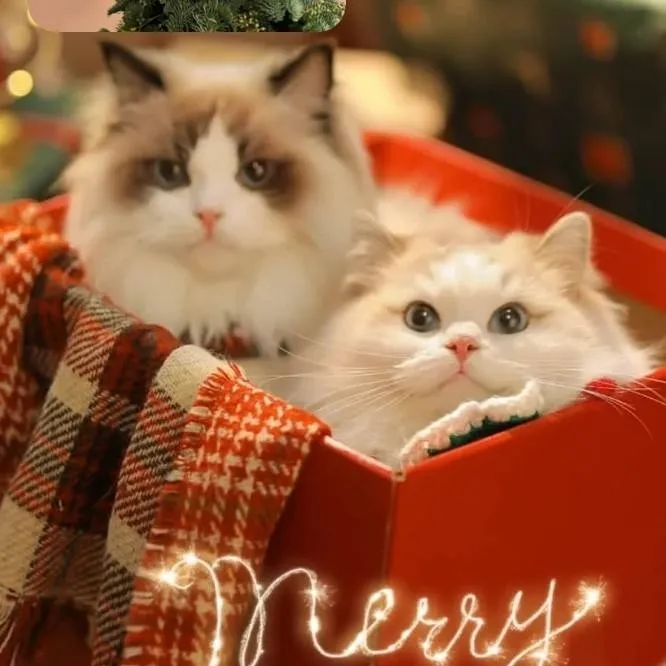 chat with ai character: TADC 