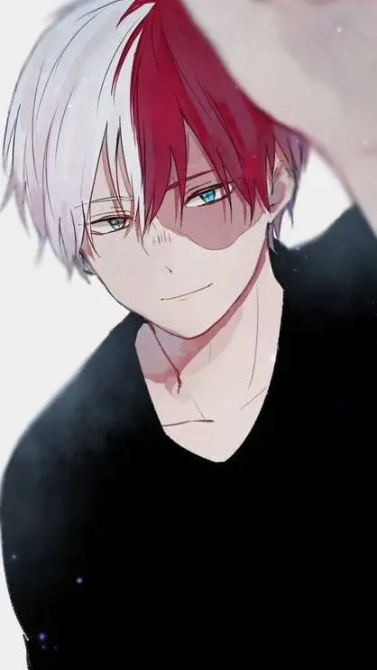 ai character: ❄️🧊🤍~Shoto~❤️🔥💥 background