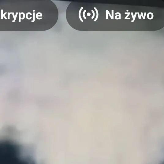 chat with ai character: FNAF giltch 