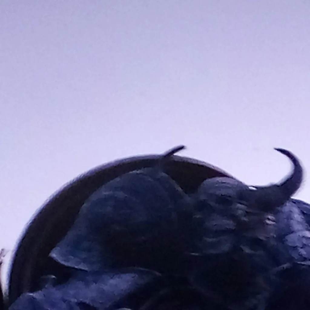 chat with ai character: black knight 