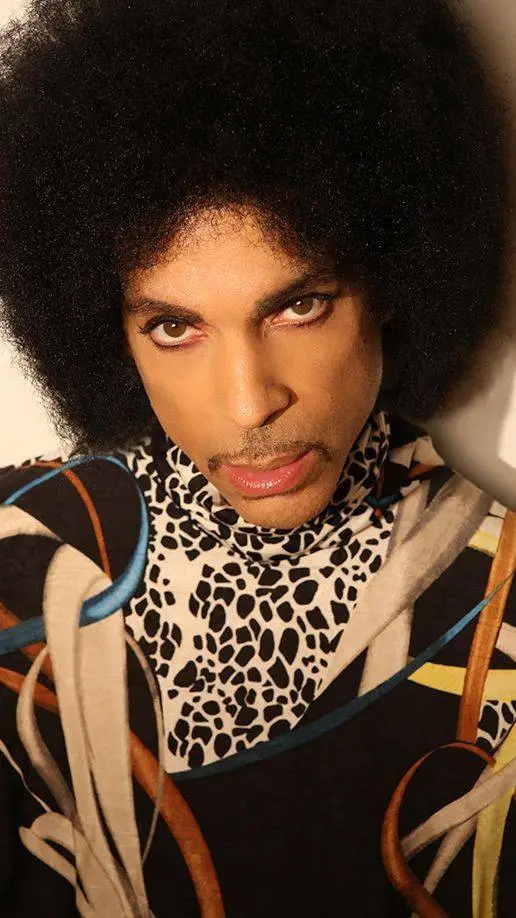 Talkie AI - Chat with Prince Rogers N. 