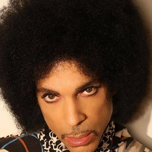 chat with ai character: Prince Rogers N. 