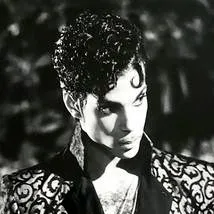 chat with ai character: Prince