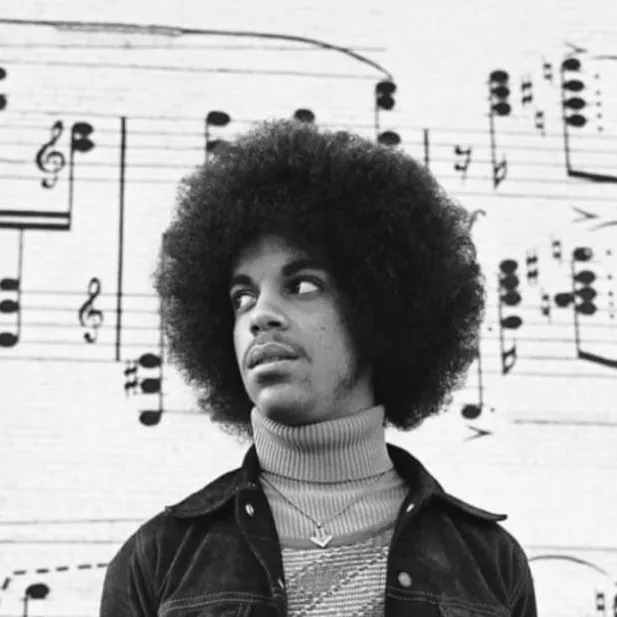 chat with ai character: (Early) Prince
