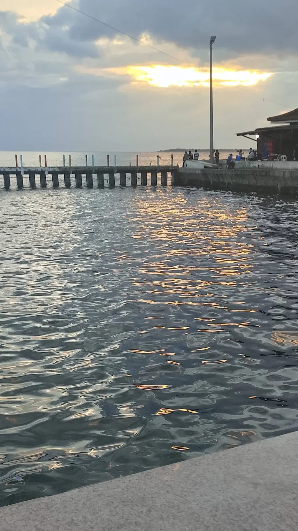 ai character: dandys world background