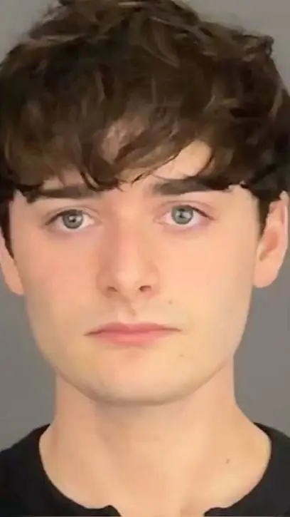 ai character: Noah schnapp background