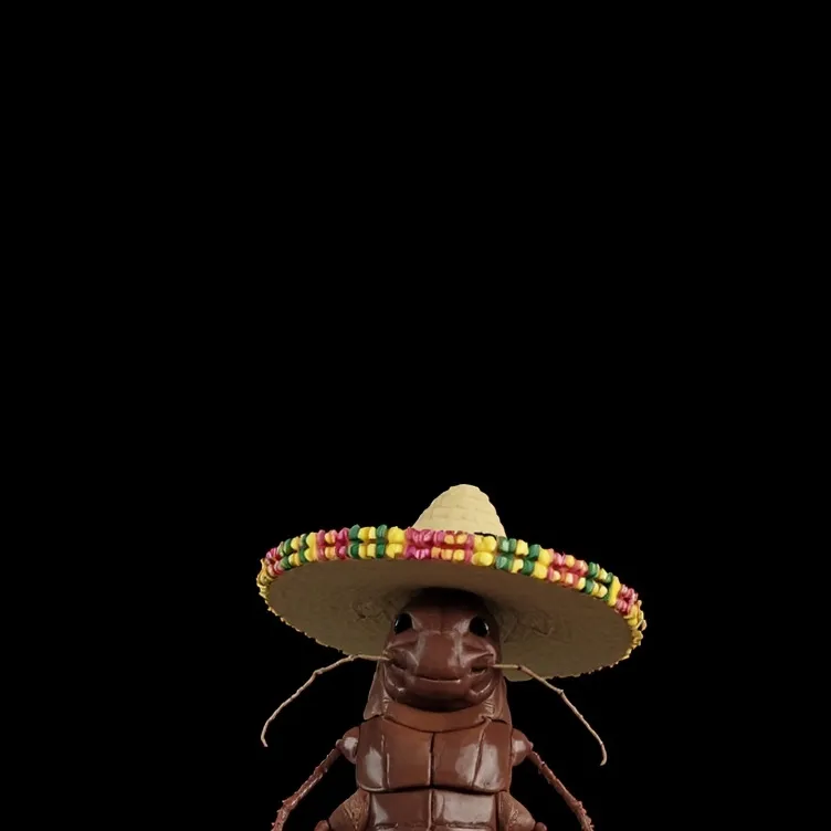 chat with ai character: la cucaracha 