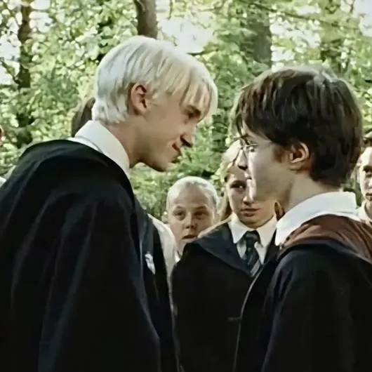 chat with ai character: Drarry Hogwart 🍂🪄🪵