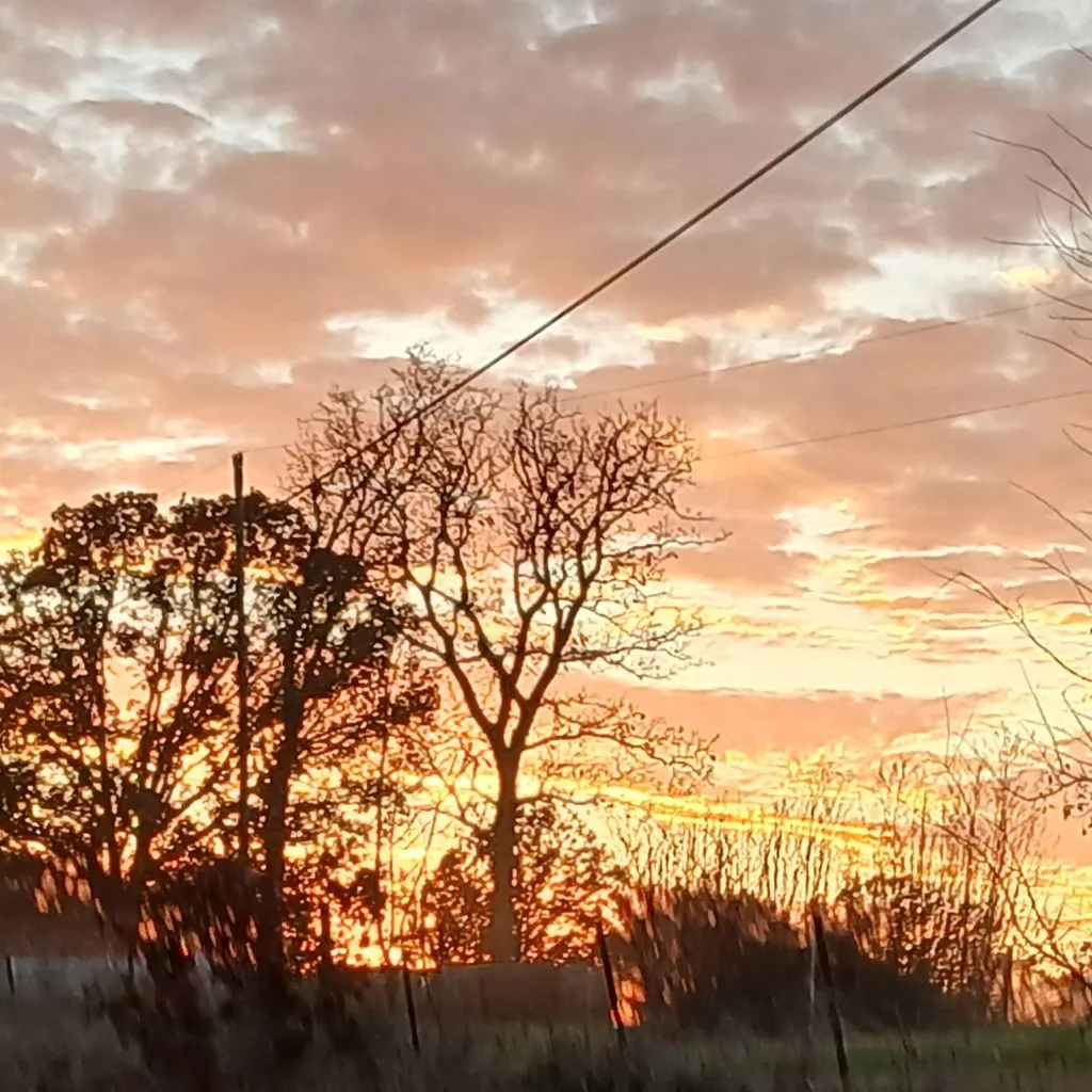 chat with ai character: help Spiderman 