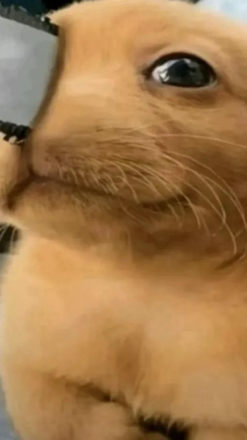 ai character: Chainsaw dog background