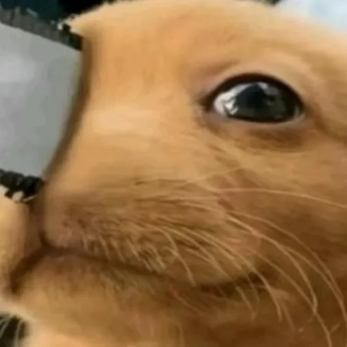 chat with ai character: Chainsaw dog