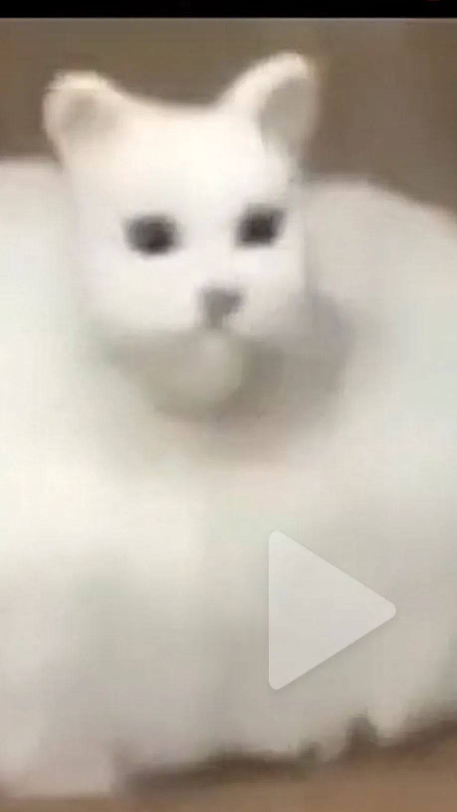 ai character: Flat cat background