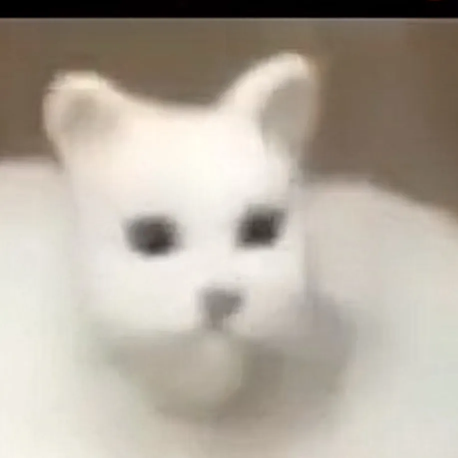 chat with ai character: Flat cat