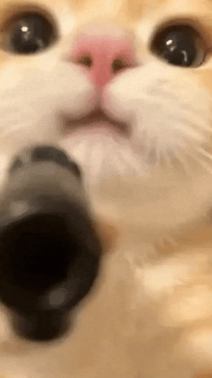 ai character: Cat background