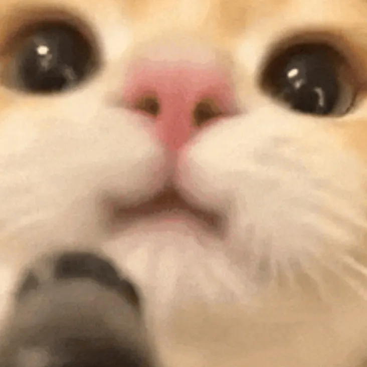 chat with ai character: Cat