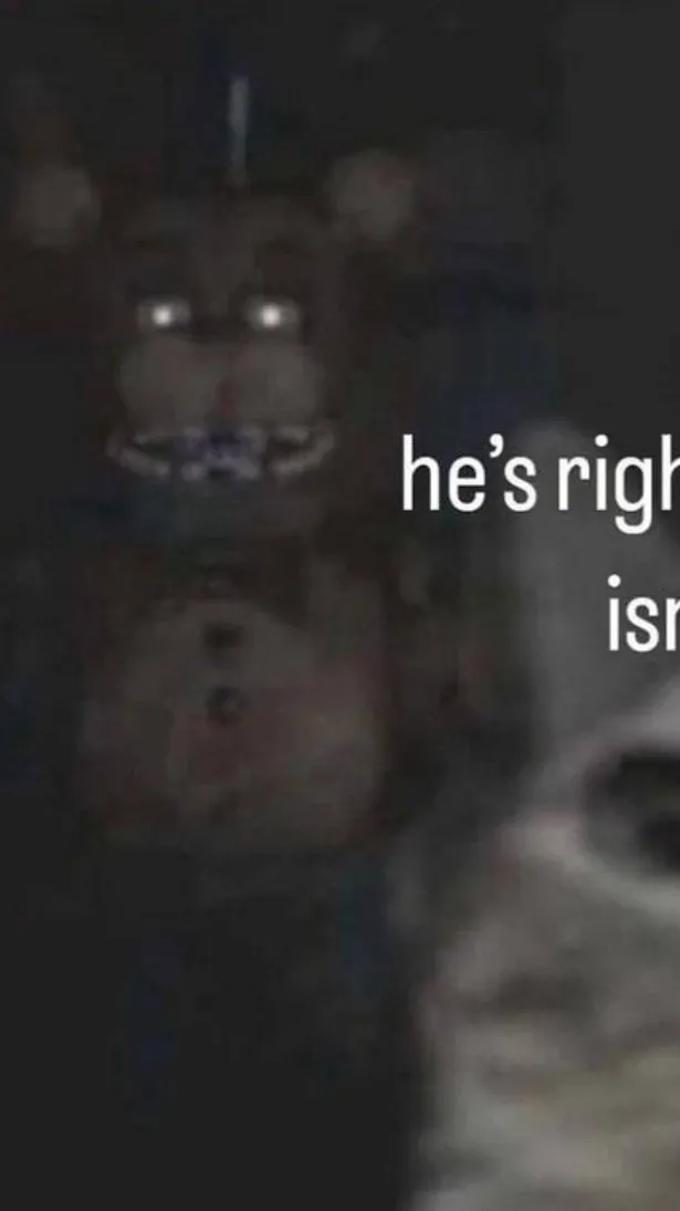 ai character: Cat background