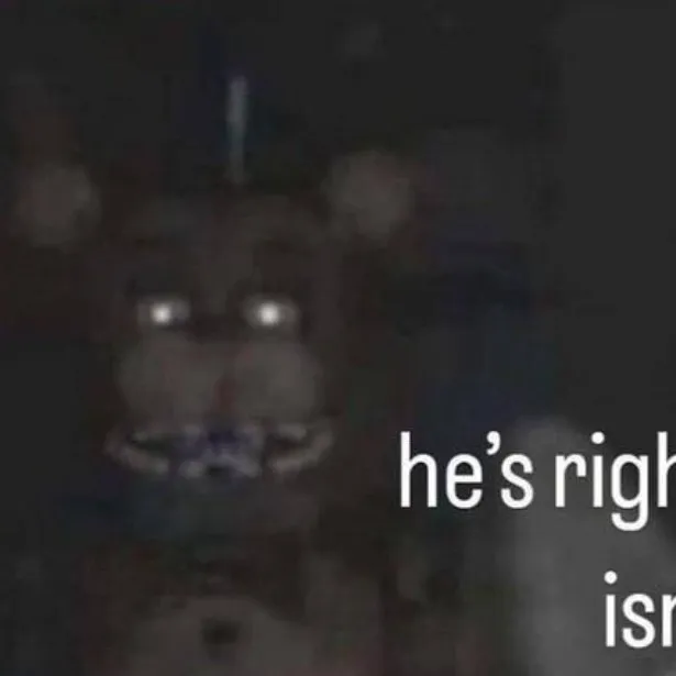 chat with ai character: Cat