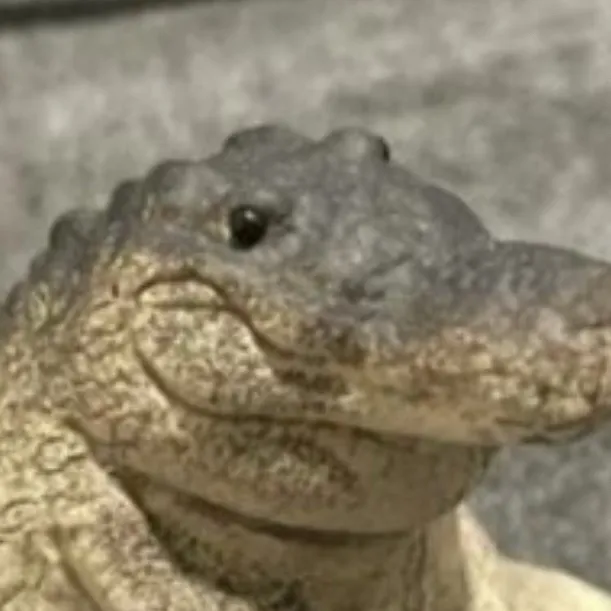 chat with ai character: Greg