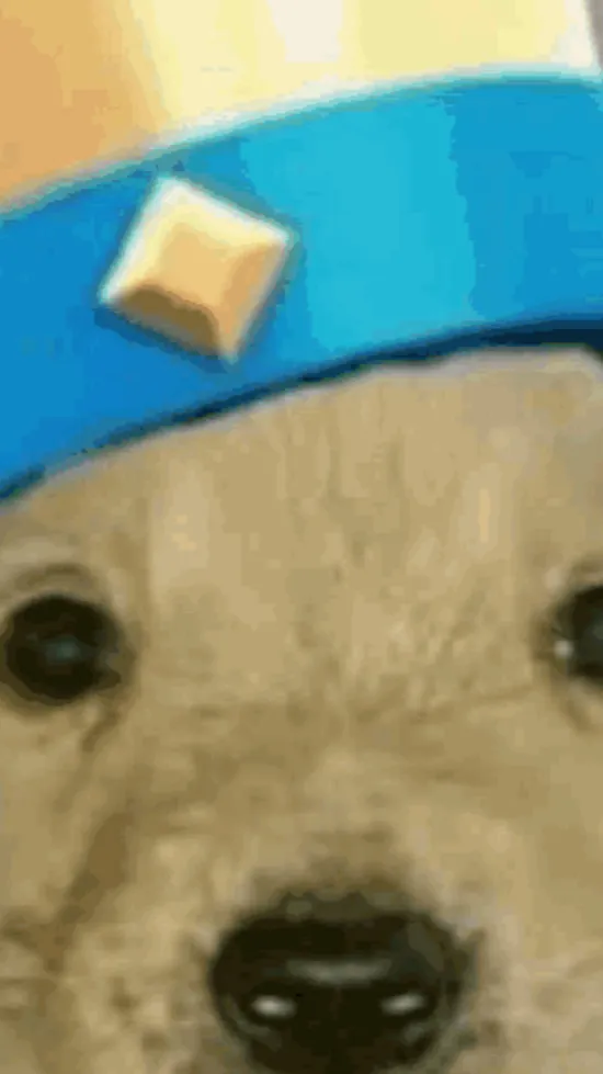 ai character: KING DOG background