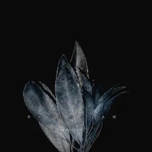 chat with ai character: 𝕄𝕀𝕃𝔼𝕍𝔼ℕ