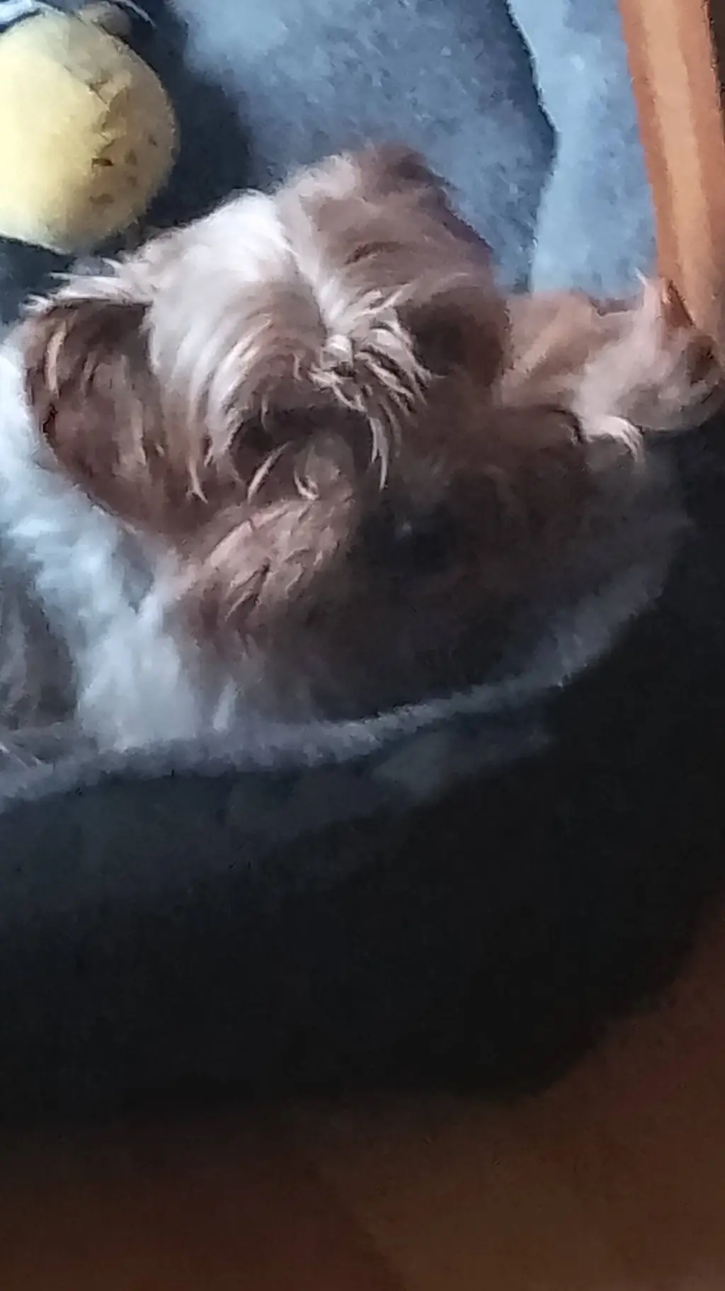 ai character: Bølle background