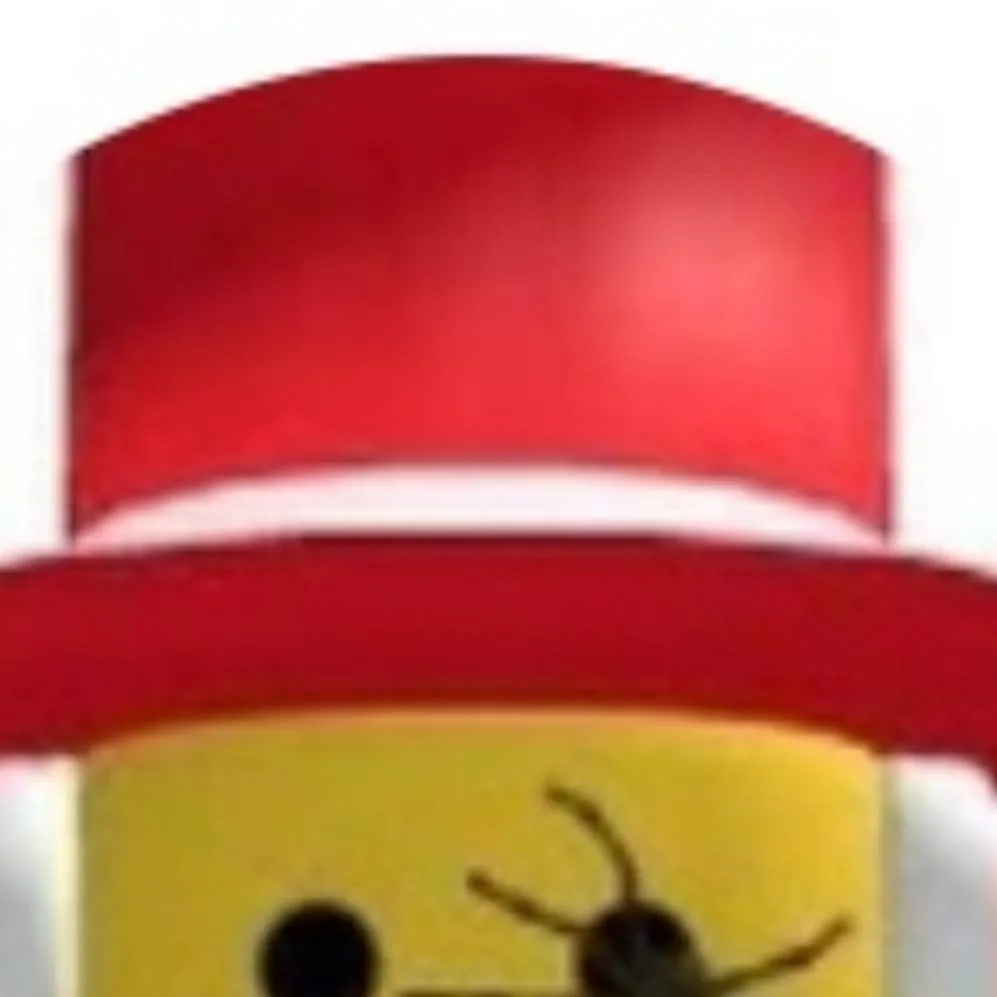 chat with ai character: spider sammy