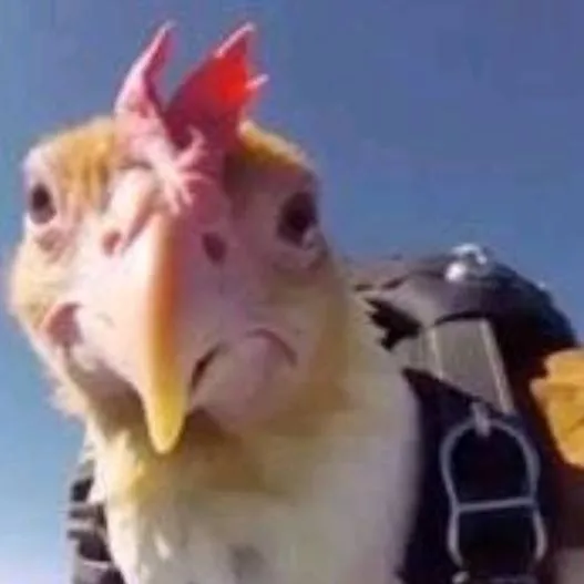 chat with ai character: Pollo