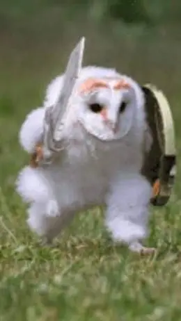 ai character: Warrior owl background