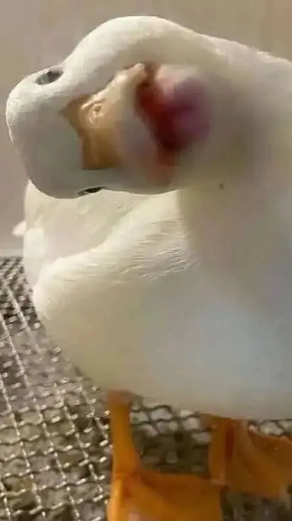 ai character: el jose background